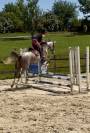 Poney de CSO, loisir 