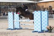 Poney de CSO 