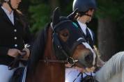 Poney &agrave; vendre 