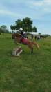 Super ponette pour super aventure
