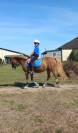 Super ponette pour super aventure