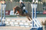 Super ponette pour super aventure