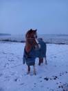 Super ponette pour super aventure