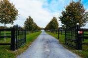 Stud farm  Mayenne
