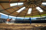 Stud farm  Mayenne