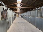 Stud farm  Mayenne