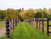 Stud farm  Mayenne