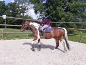 Cheval Sport et loisirs - OC - 6 ans