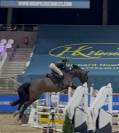 Cheval de sport de 5ans &agrave; vendre 