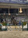 Cheval de sport de 5ans &agrave; vendre 