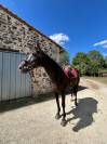 Cheval &agrave; vendre 
