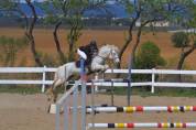 Location poney CSO 