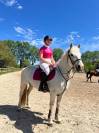 Location poney CSO 