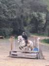 Ponette PFS 