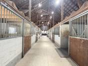 Propri&eacute;t&eacute; &eacute;questre - Fontainebleau - 6 hectares