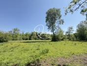 Propri&eacute;t&eacute; &eacute;questre - Fontainebleau - 6 hectares