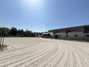Propri&eacute;t&eacute; &eacute;questre - Fontainebleau - 6 hectares