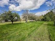 Ensemble immobilier - Vendes - 1 hectare 3