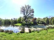 DOMAINE DE CHARME - Le Lion-d'Angers 49- 15 Hectares
