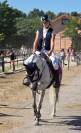 Poney sport