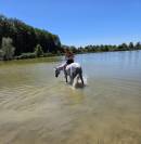 Poney sport