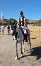 Poney sport