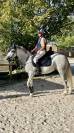 Poney 