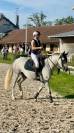 Poney 