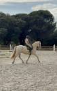 Cheval Lusitianien 1 &agrave; 3j par semaine