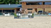 Hongre 6 ans cso