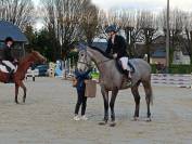 Hongre 6 ans cso