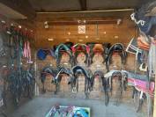 Equestrian property  Eure