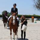 &Agrave; vendre ou &eacute;change cheval d&rsquo;exp&eacute;rience 
