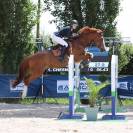 &Agrave; vendre ou &eacute;change cheval d&rsquo;exp&eacute;rience 