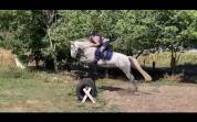 Super poney D A VENDRE