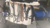 Attelage Type anglais - 1 cheval + harnais complet cuir