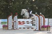 Connemara de 7 ans 