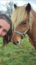 Eristoff du Chenilly, shetland PP, 12 ans