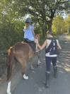 Cassanova &ndash; Hongre Welsh Part-Bred &ndash; 11 ans tr&egrave;s gentil