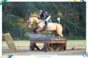 Jument akhal-teke 9 ans