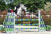 Jument zangersheide 8ans 