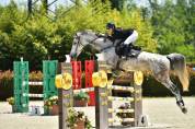Jument zangersheide 8ans 