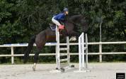 Cheval SF CSO