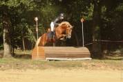 Jingle de St Prix A VENDRE