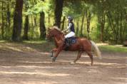 Jingle de St Prix A VENDRE