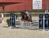 Plusieurs Poneys disponibles (du foal a 5 ans )
