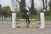 Ponette de sport sensible 