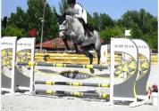 Jument de CSO 5ans
