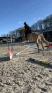 Recherche d&rsquo;alternance rentre 2026 
