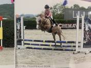 Poney &agrave; vendre 